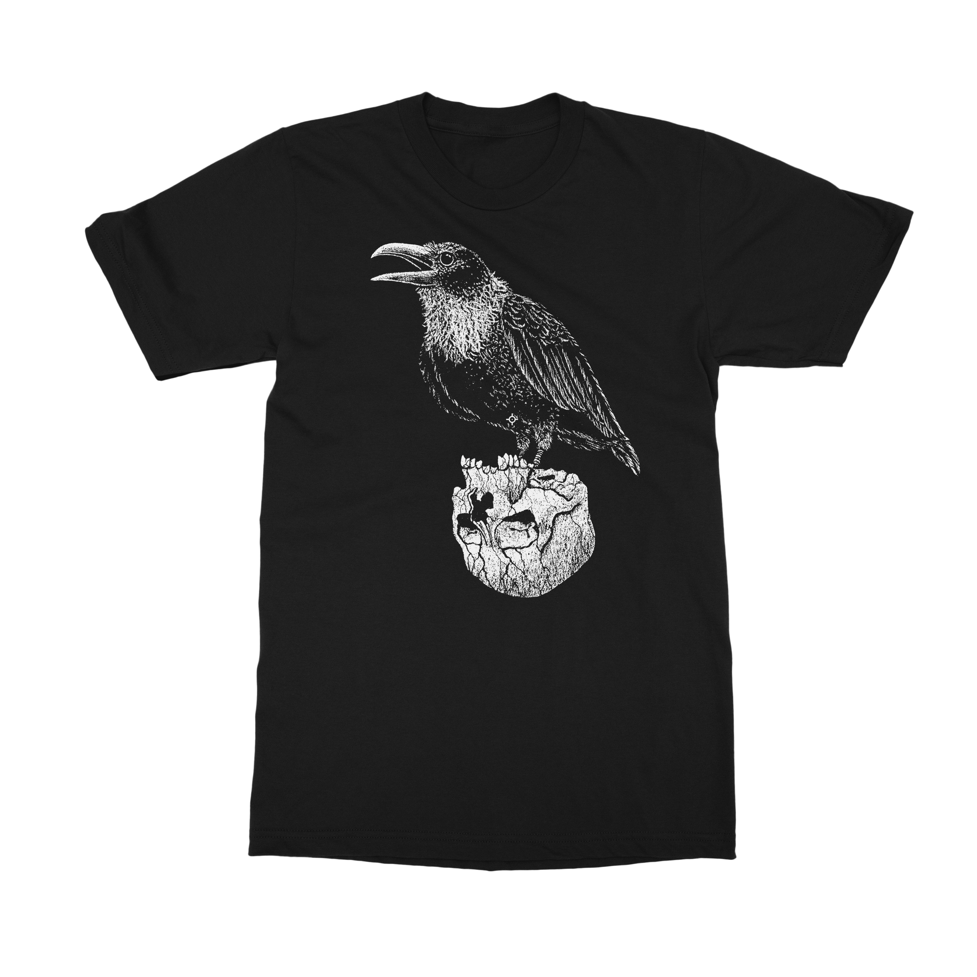 The Familiar Raven T-Shirt by Dylan Garrett Smith