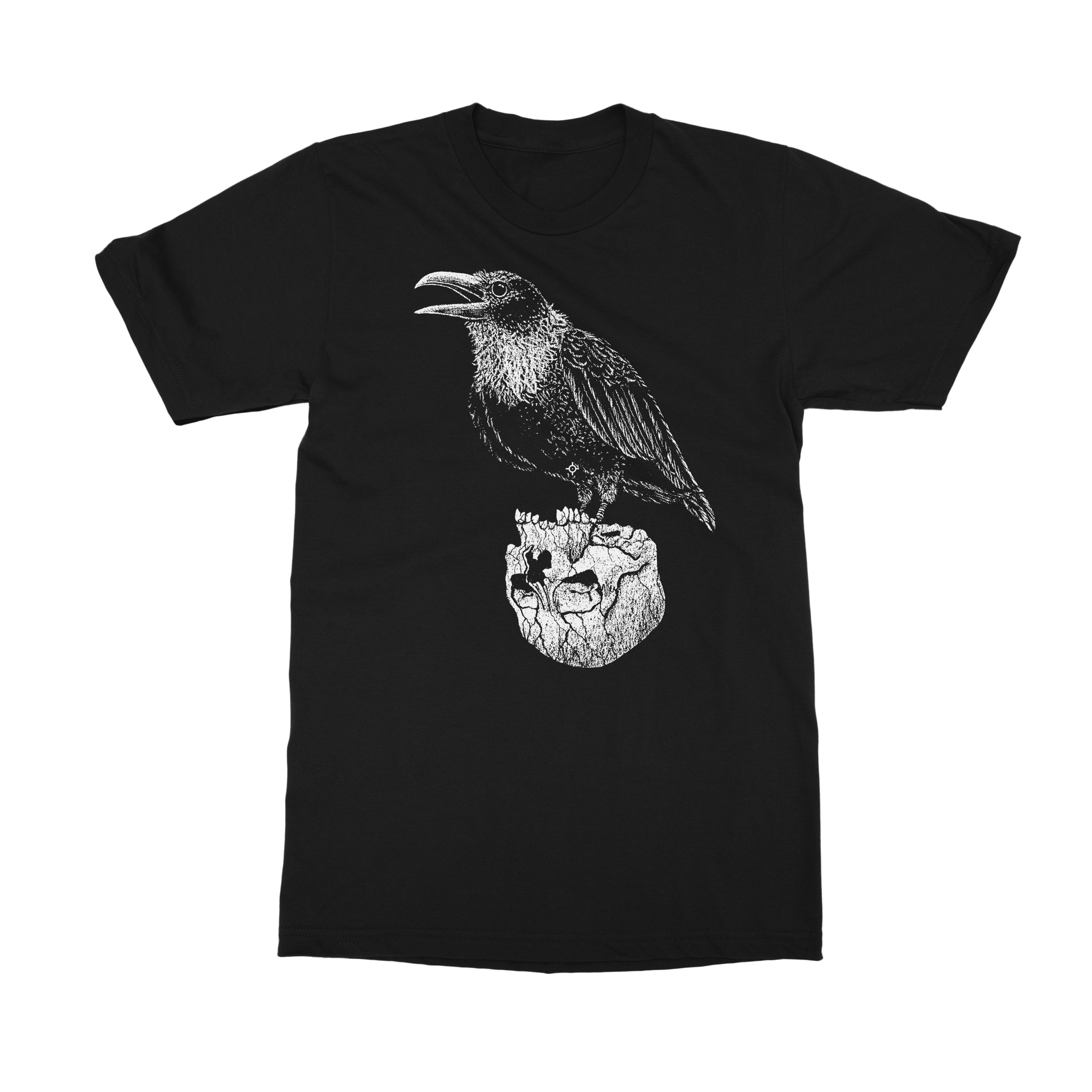 The Raven T-Shirt by Dylan Garrett Smith