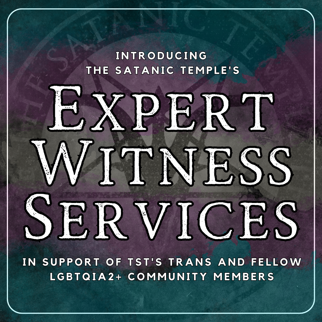Introducing TST's Expert Witness Services